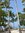 Reem (raledrissi) | 1 comments
