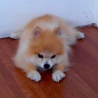 ซุเปอร์ ไฮเวย์