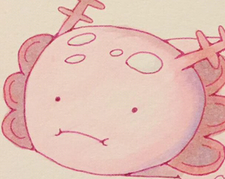 Barrett V Brodzinski