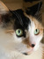 Amy