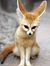 Fennec Fox