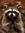 MadRaccoon