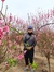Huy Bui