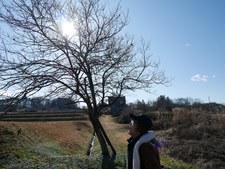 Weiwei