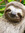 member photo member photo