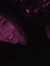 Aline C...