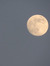 lunar