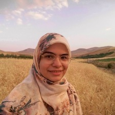 Elham Daneshparvar