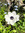 member photo member photo
