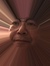 Bob