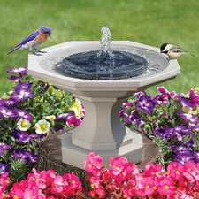 birdbath
