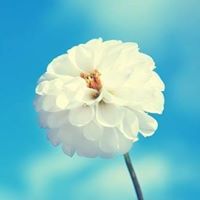 محمد يوسف عبد العزيز