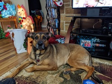 Beth Moved to Storygraph  Lynch