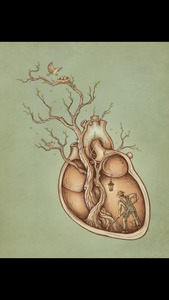 هدى عبد الرحيم