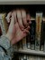 ShivaniReadsStuff