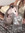 Charlie (chespyn) | 1 comments
