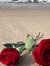 Zuoon &...