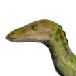 Theoscelosaurus