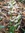 Will Grogan | 2 comments