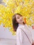 Nguyễn ...