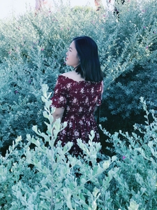 Như Nguyễn