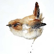 Troglodette