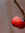 Hannah