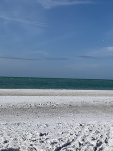 Lacey Trimble howard