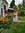 Janet Balicki Weber