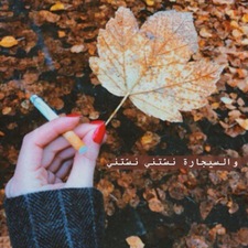 Dina Mohammed