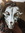 sandyboy | 81 comments