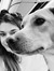 Martina