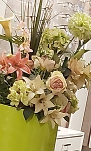 ظلال  وارفة 