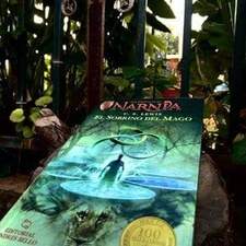 Libros En Un Castillo