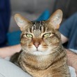 Fiona