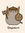 Megan Frowley | 2 comments