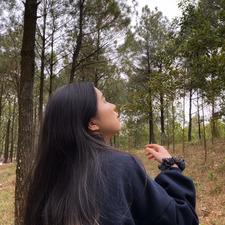 Linh Dinh 