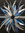 Tehcup | 3 comments