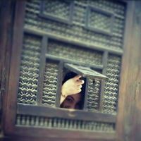 Hanan Abou Aouf