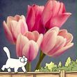 Cathie Cook