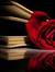 Dark'NTwistyBooks