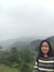Hoa Hồ