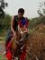 Ahmed S...