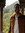 Nikhil