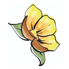 Thoughtful Life Counseling