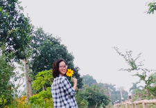 Ngan Phung