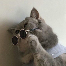 klarice the secret police