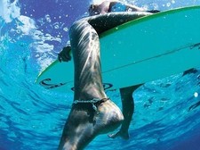 Juv Cellacay