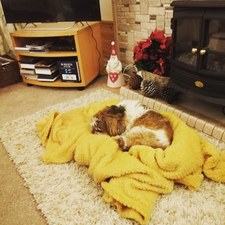 Alison.A.Bellbtinternet.Com