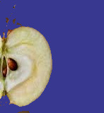 A Very Bad Apple